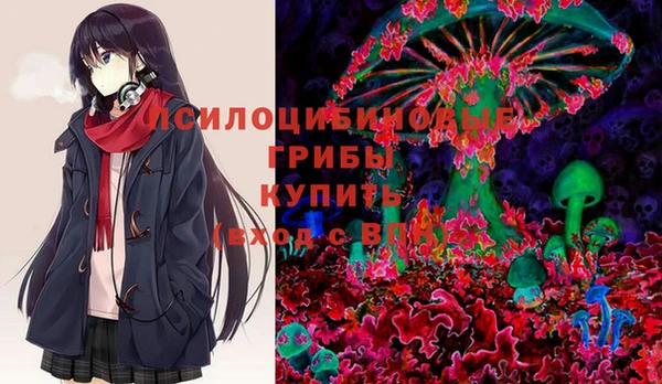 ПСИЛОЦИБИНОВЫЕ ГРИБЫ Билибино