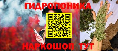 дмт Аргун