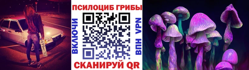 Псилоцибиновые грибы Psilocybe  наркота  Белебей 