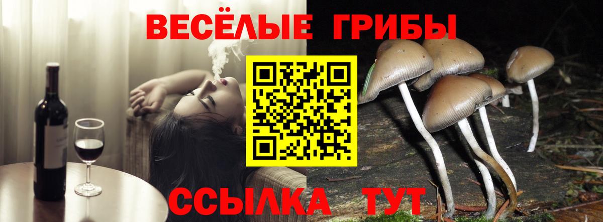 Галлюциногенные грибы Cubensis  продажа наркотиков  Белебей  Вход с VPN 